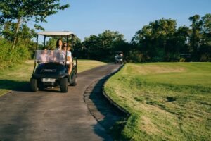 your golf cart rental endeavor,