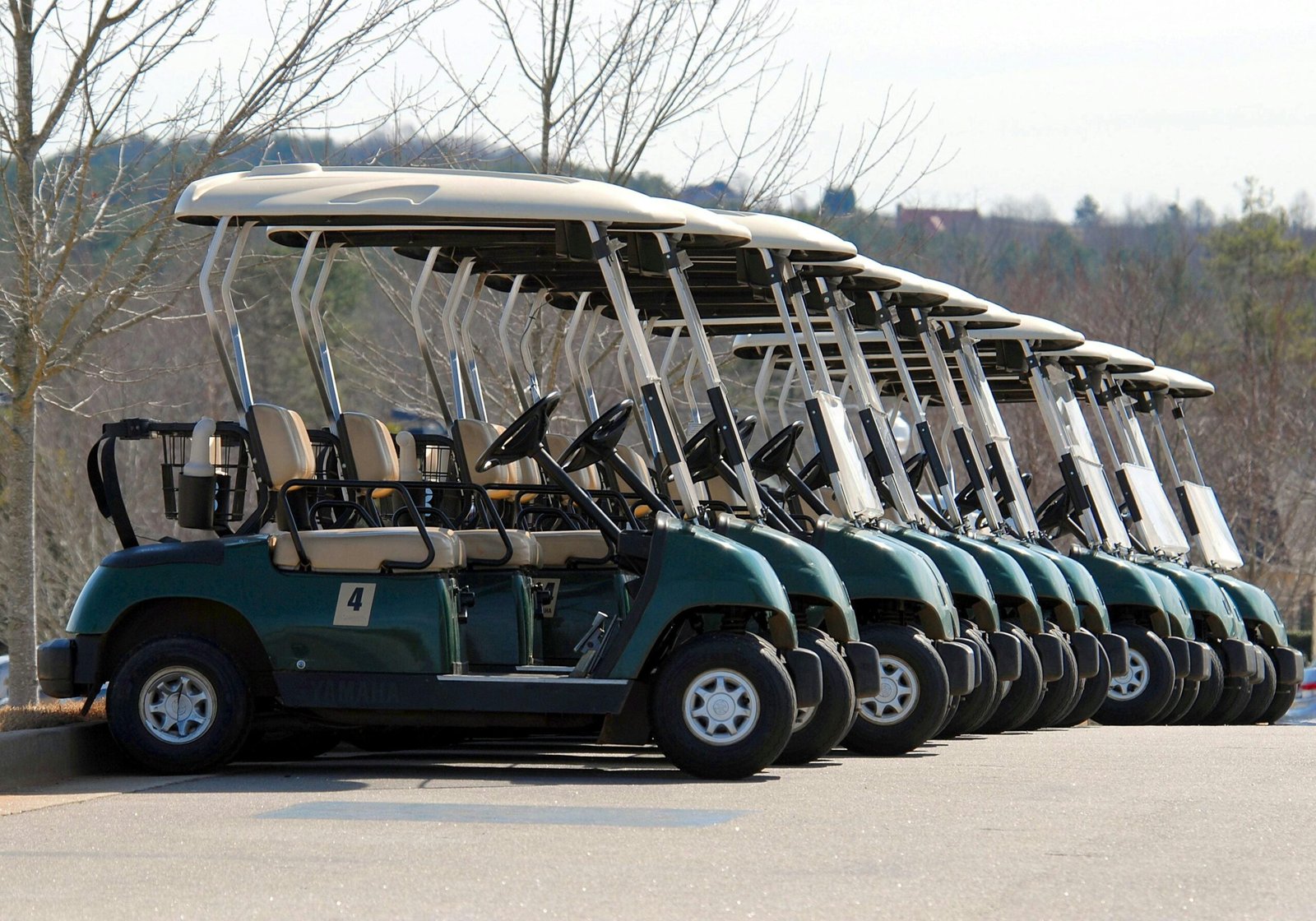 how to start a golf cart rental business